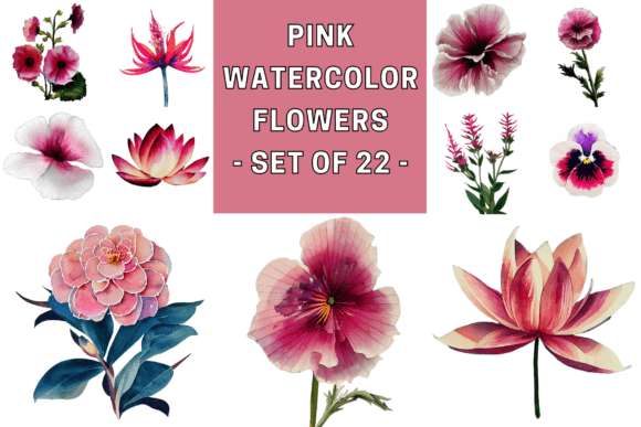 Beautiful Pink Watercolor Flowers Illustrations for Digital Sellers