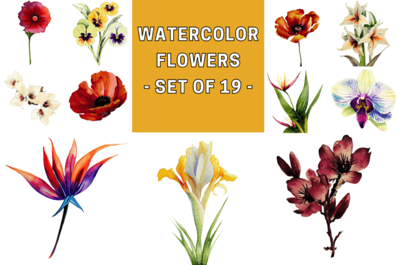 Beautiful Watercolor Flowers: A Designer’s Real-World Embroidery Review