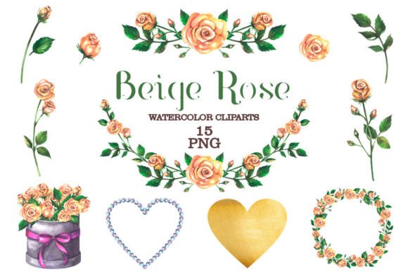 BEIGE ROSE Watercolor Clipart & Illustrations