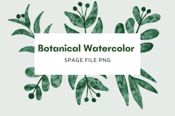 Botanical Watercolor Pack 13: A Designer’s Real-World Review for Client Projects