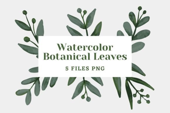 Botanical Watercolor Pack 22: Premium Illustrations