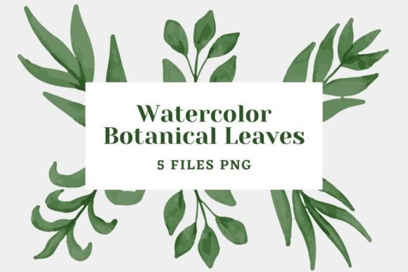 Botanical Watercolor Pack 23: Premium Illustrations