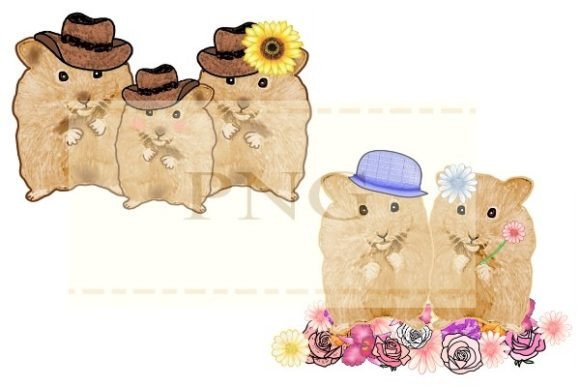 Cute Hamster Png Rat Lover Watercolor Illustrations