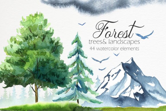 Forest. Watercolor Illustrations: A Designer’s Take for Real Local Branding