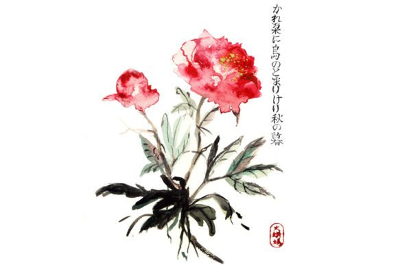 Japanese Watercolor Peonies Illustration Review