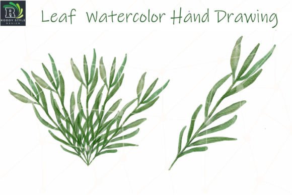 Leaf Watercolor Clipart Illustration Review