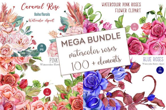MEGA BUNDLE Watercolor Illustrations Review