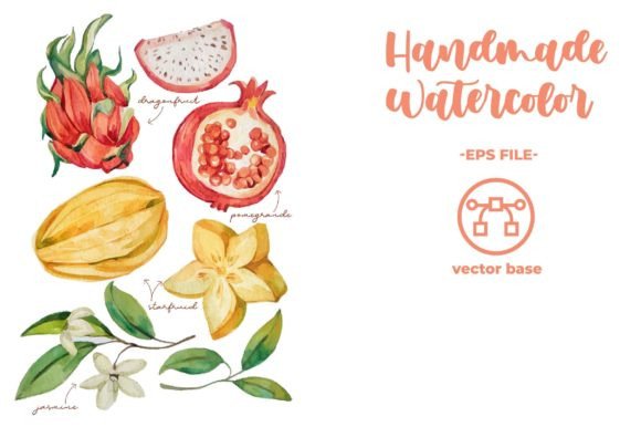 Tropical Fruit Elements Watercolor: A Designer’s Review for Real Client Projects