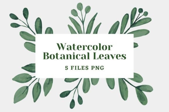 Watercolor Botanical Leaves 24 Illustrations