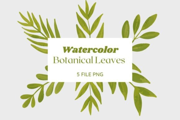 Watercolor Botanical Leaves Pack 32 Review