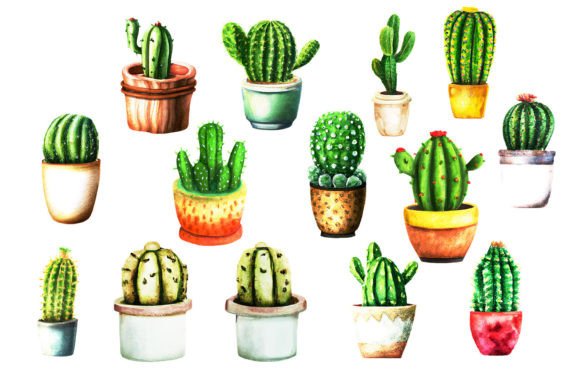 Watercolor Clipart Cactus Potted: A Designer's Review