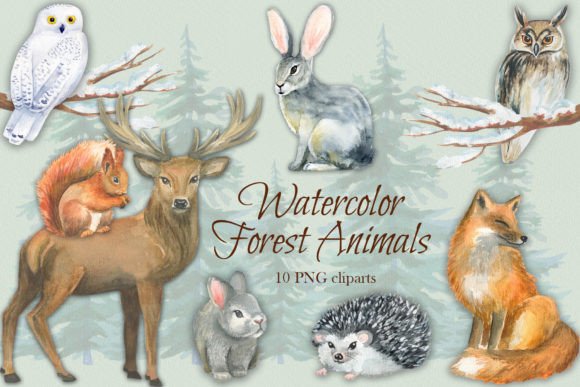 Watercolor Forest Animals Illustrations Review