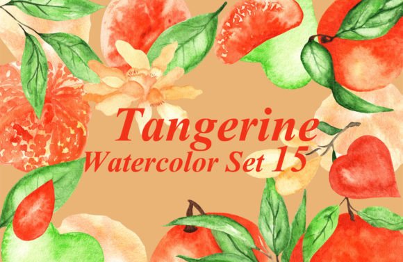 Watercolor Tangerine Clipart & Illustrations