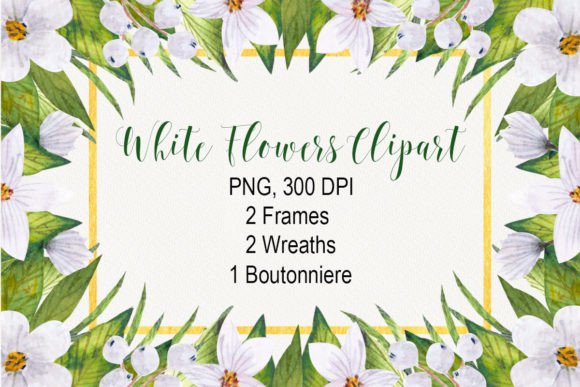 White Flowers Watercolor Clipart & Illustrations